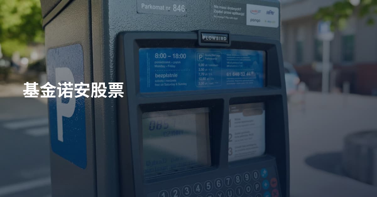 基金诺安股票