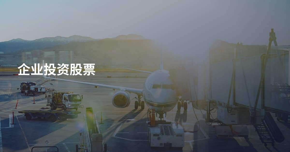 企业投资股票