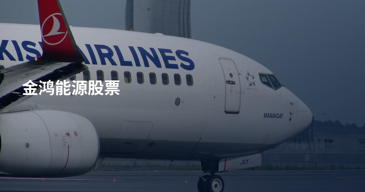 金鸿能源股票