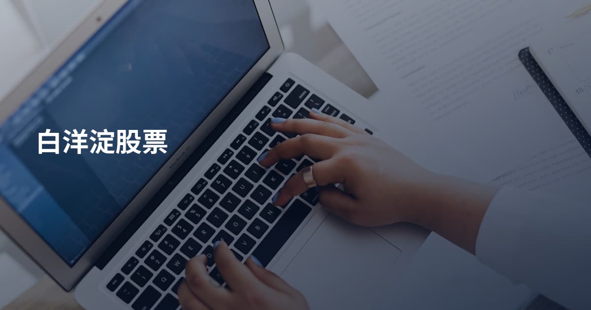 白洋淀股票
