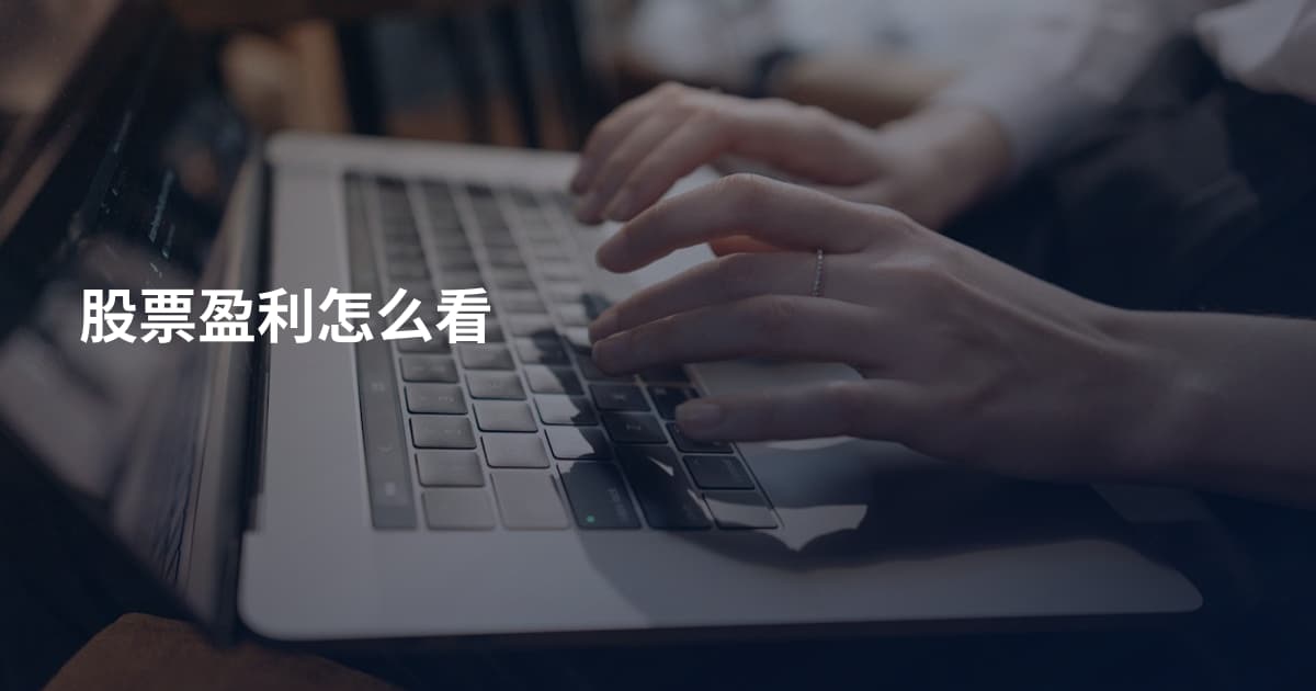 股票盈利怎么看