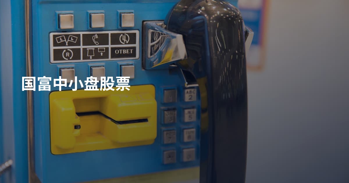 国富中小盘股票
