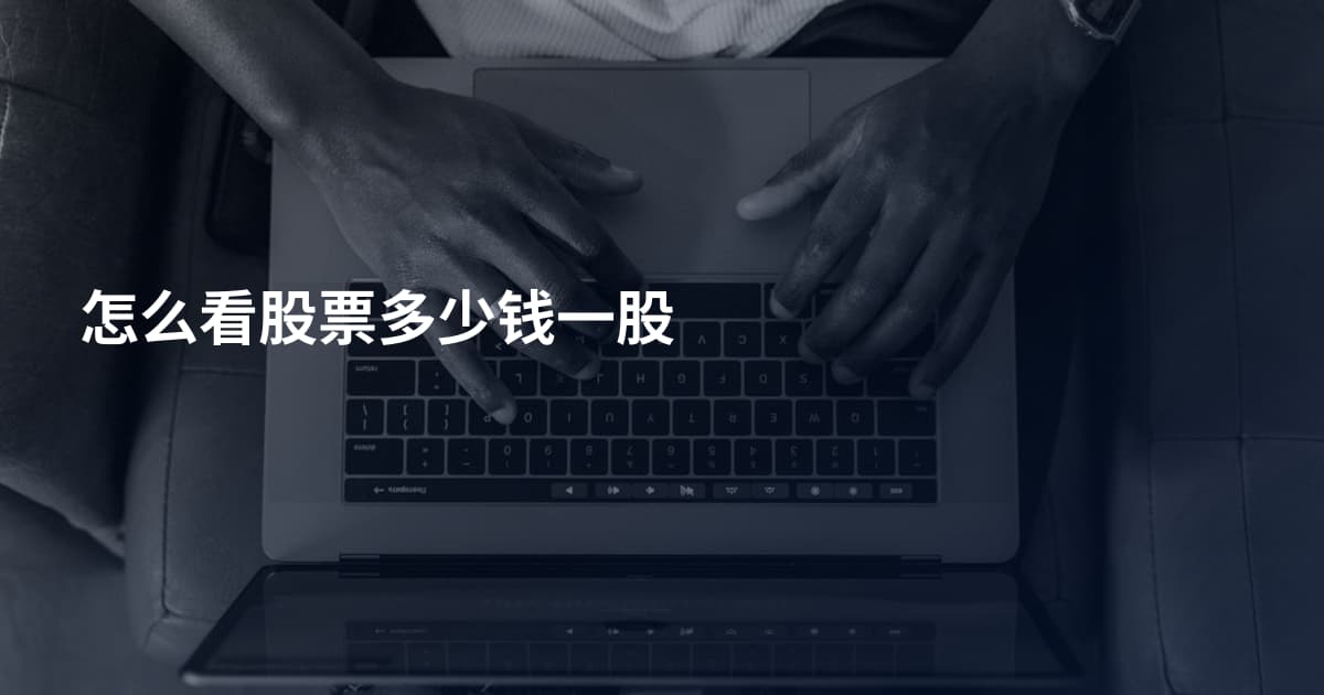 怎么看股票多少钱一股