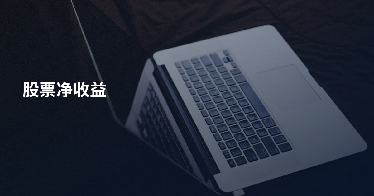 股票净收益