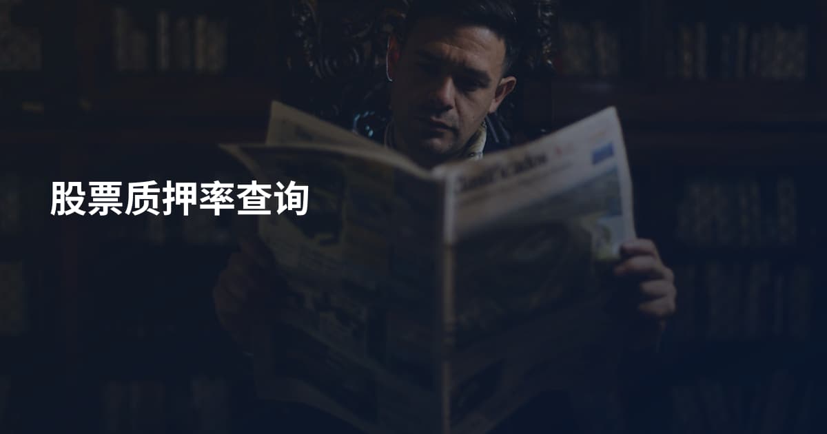 股票质押率查询