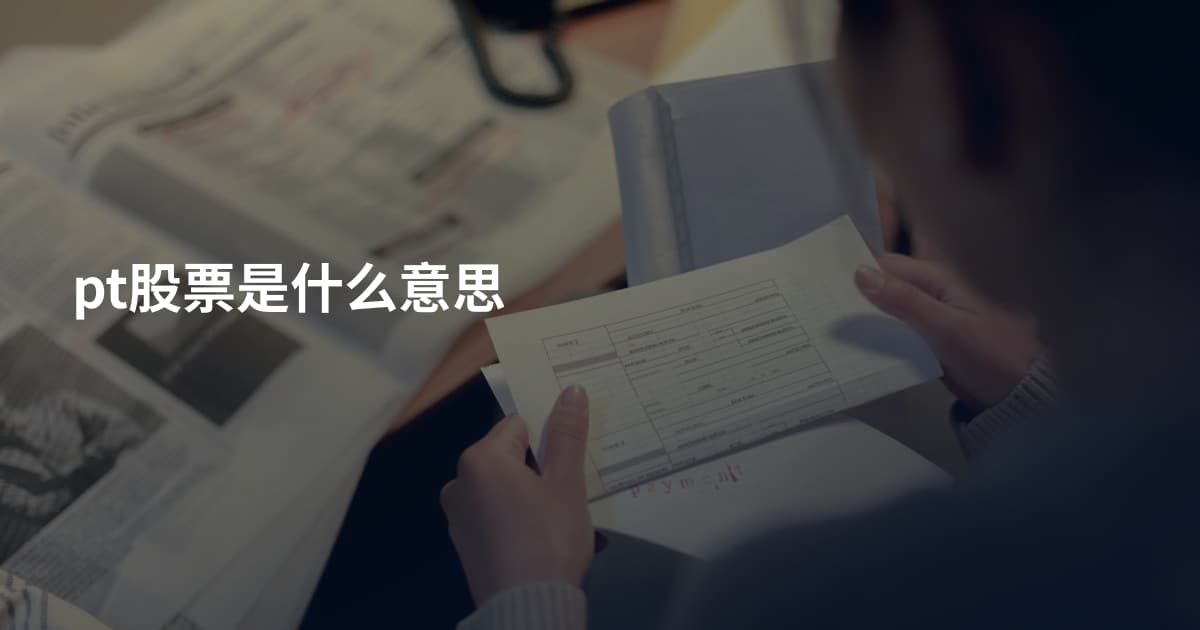 pt股票是什么意思