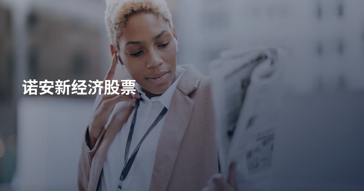 诺安新经济股票