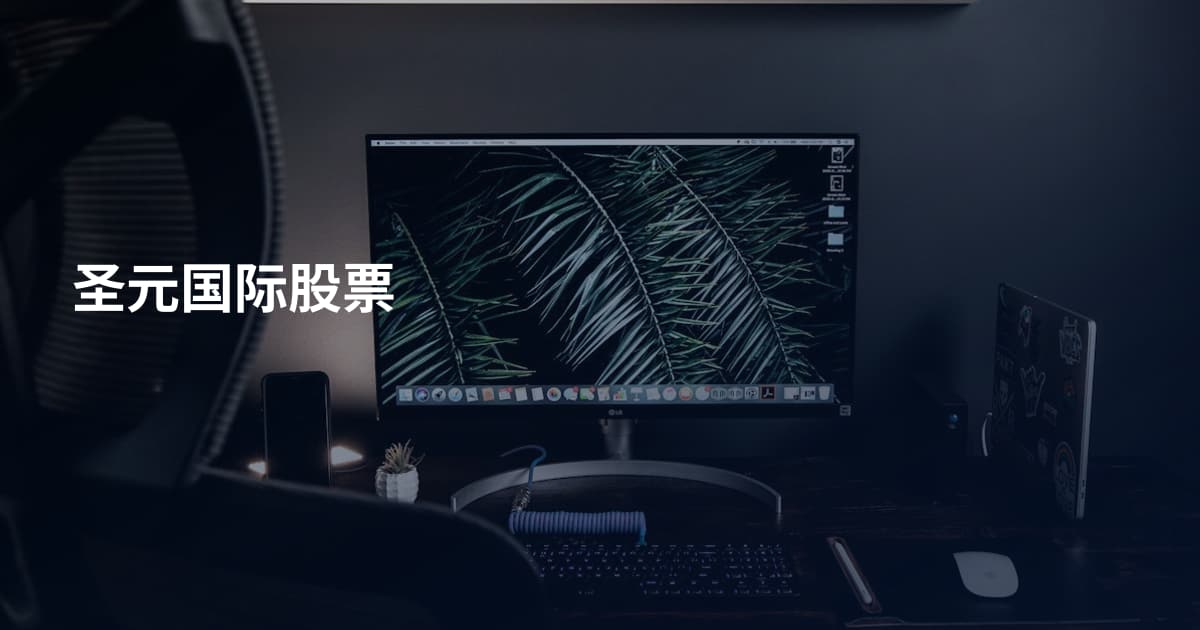 圣元国际股票