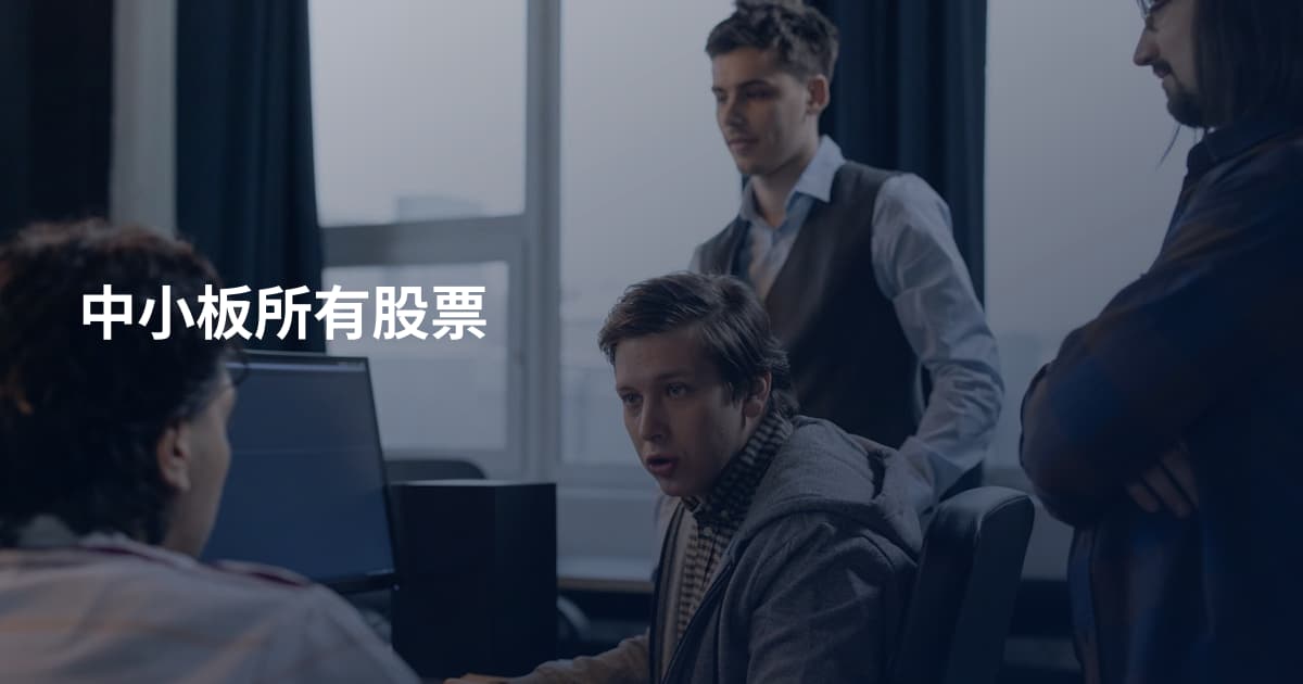 中小板所有股票