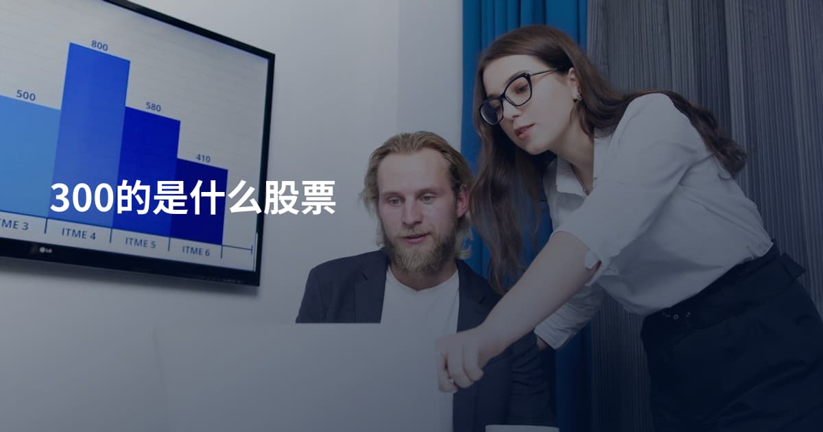 300的是什么股票