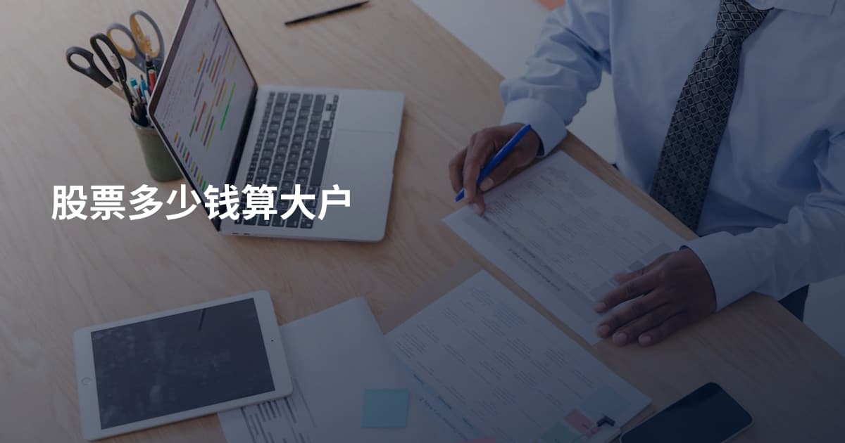 股票多少钱算大户