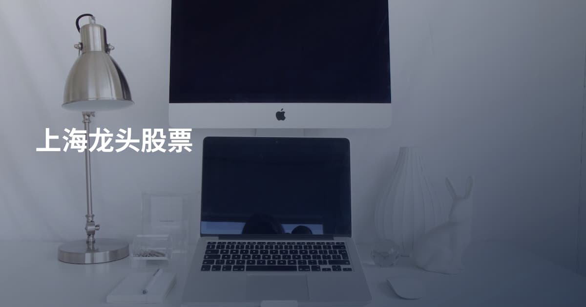 上海龙头股票
