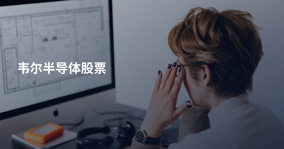 韦尔半导体股票