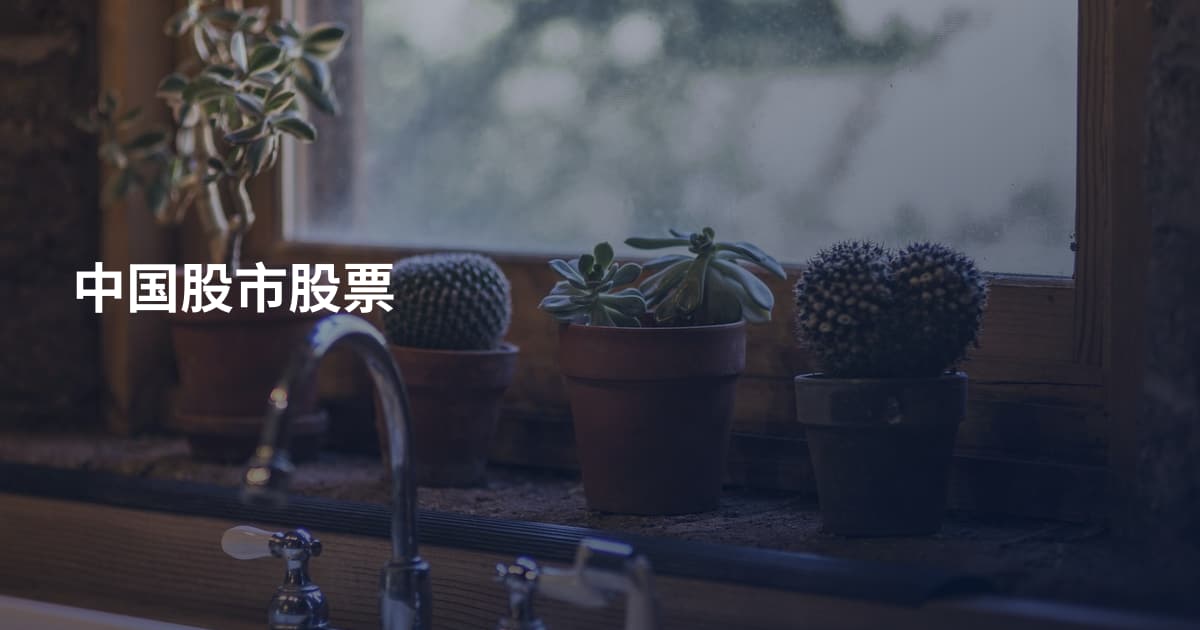 中国股市股票