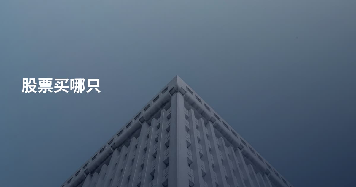 股票买哪只