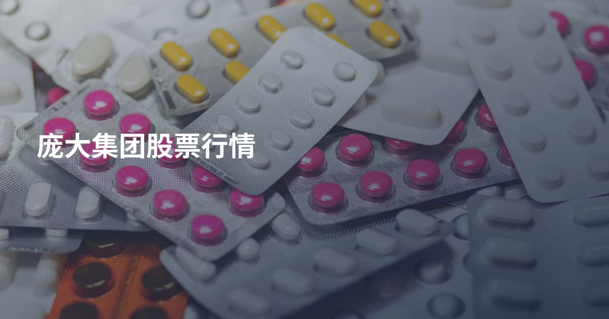 庞大集团股票行情