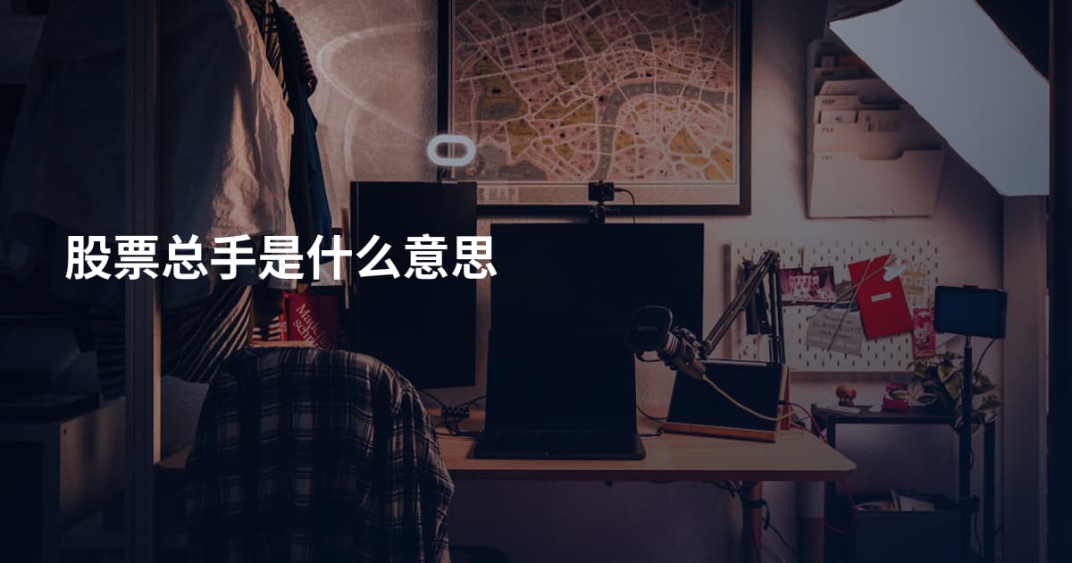 股票总手是什么意思