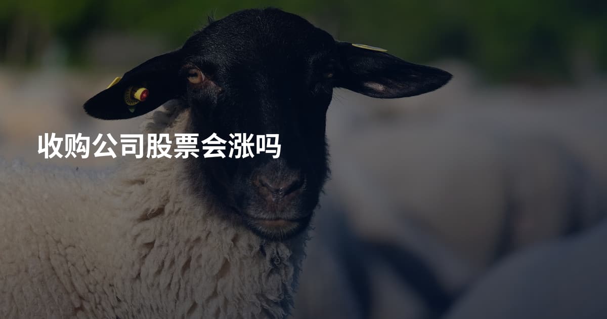 收购公司股票会涨吗