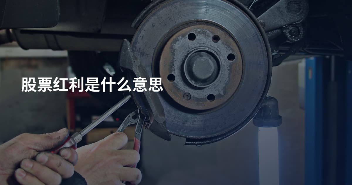 股票红利是什么意思