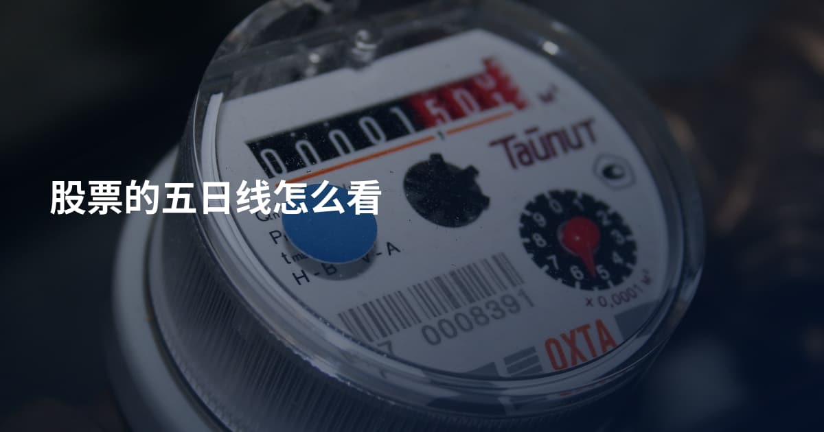 股票的五日线怎么看