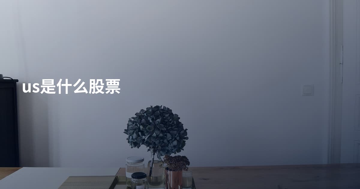 us是什么股票
