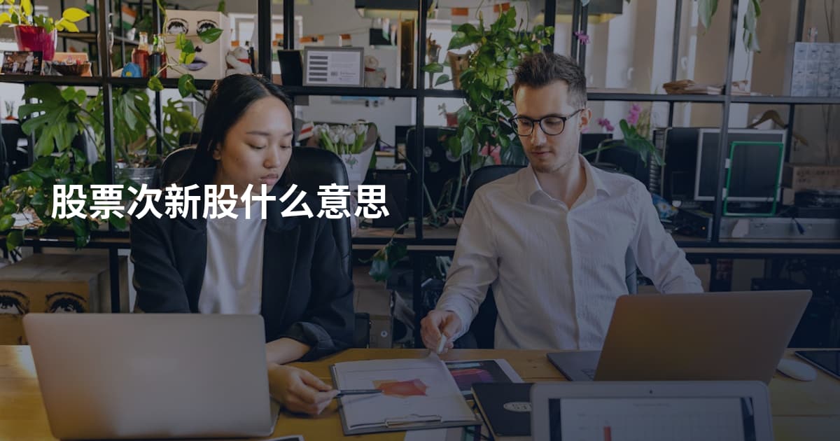 股票次新股什么意思