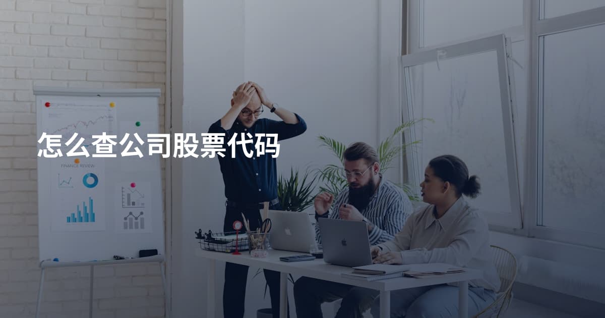 怎么查公司股票代码