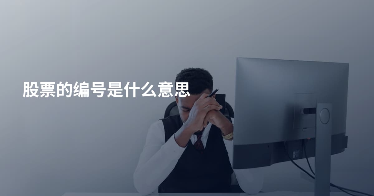 股票的编号是什么意思