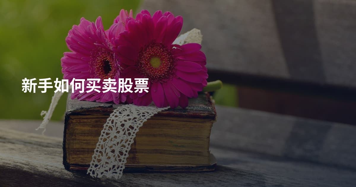 新手如何买卖股票
