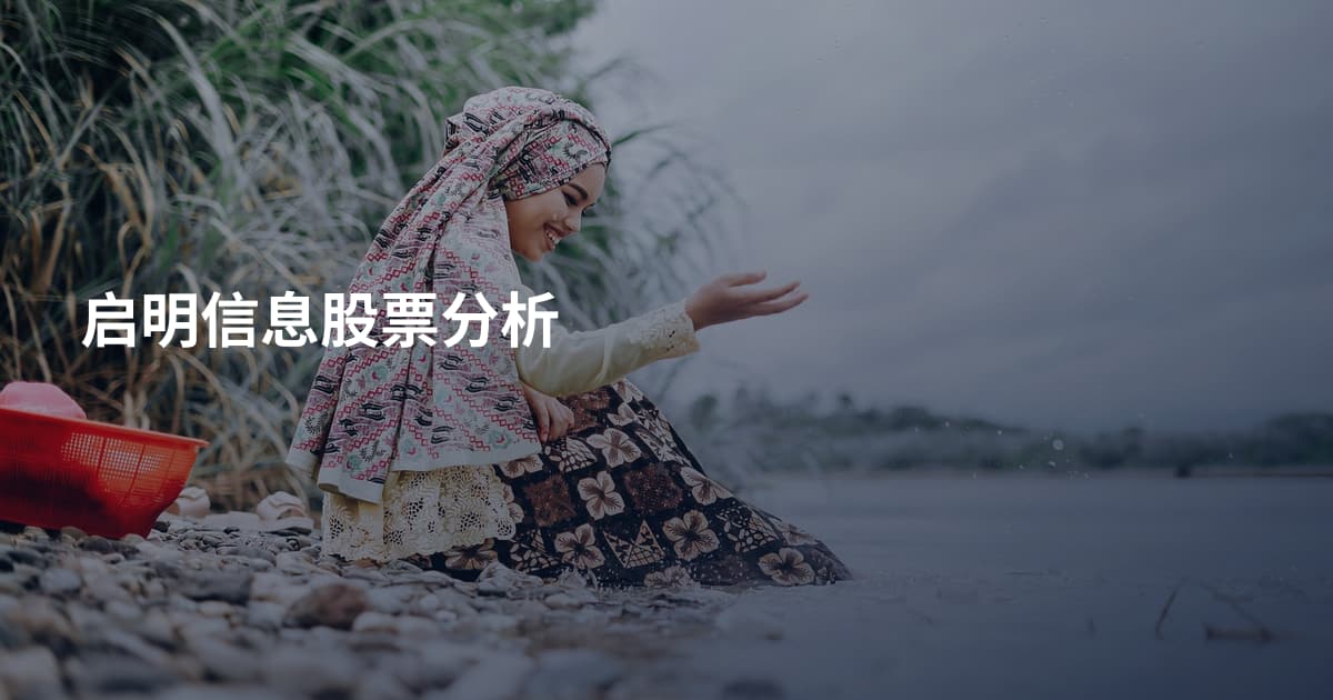 启明信息股票分析