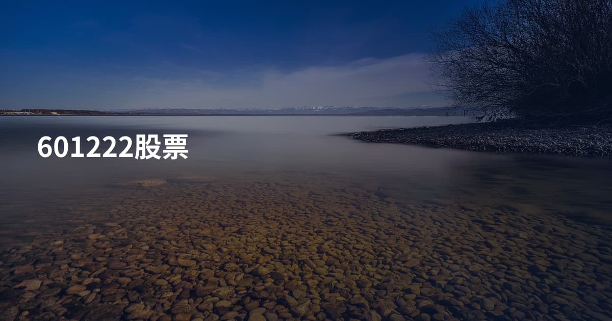 601222股票