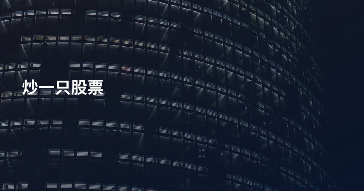 炒一只股票