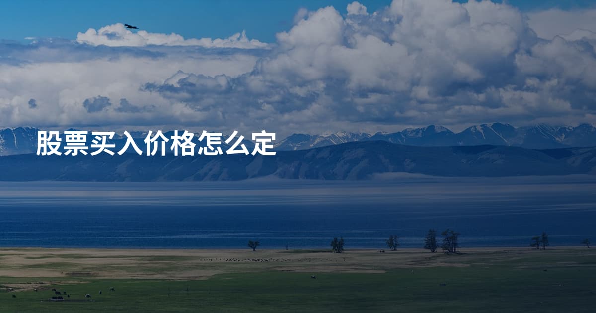 股票买入价格怎么定