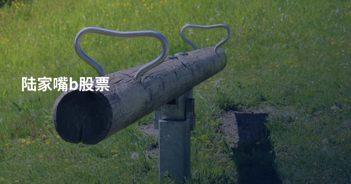 陆家嘴b股票