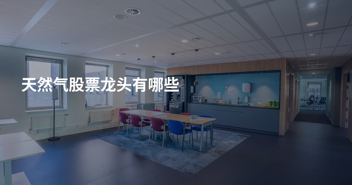 天然气股票龙头有哪些