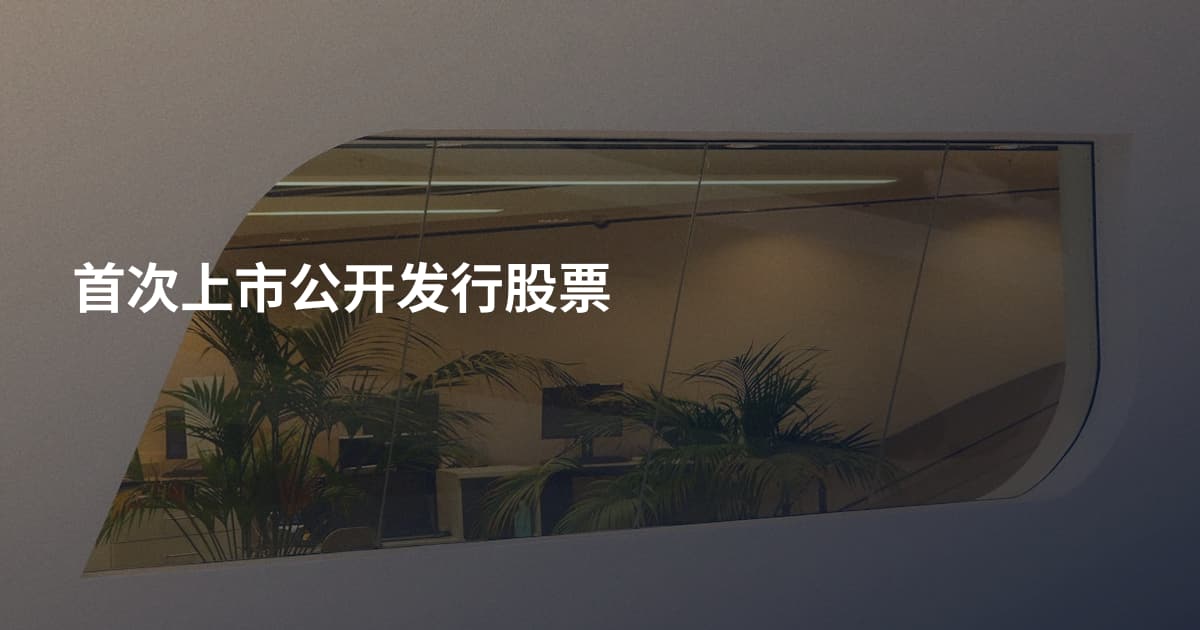首次上市公开发行股票