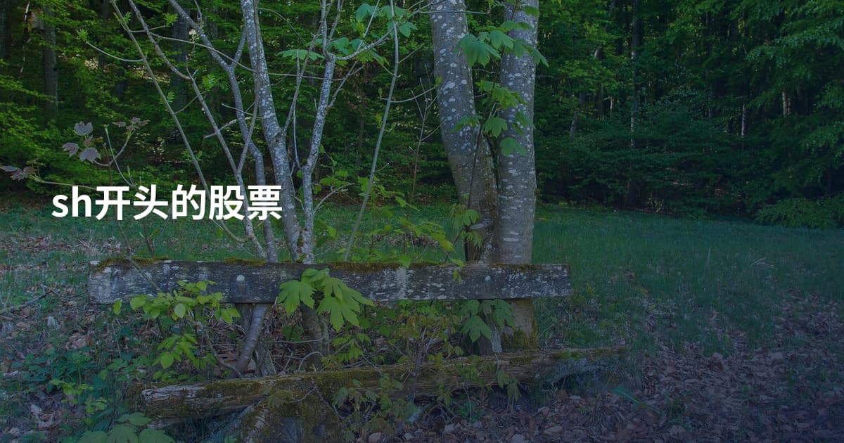 sh开头的股票