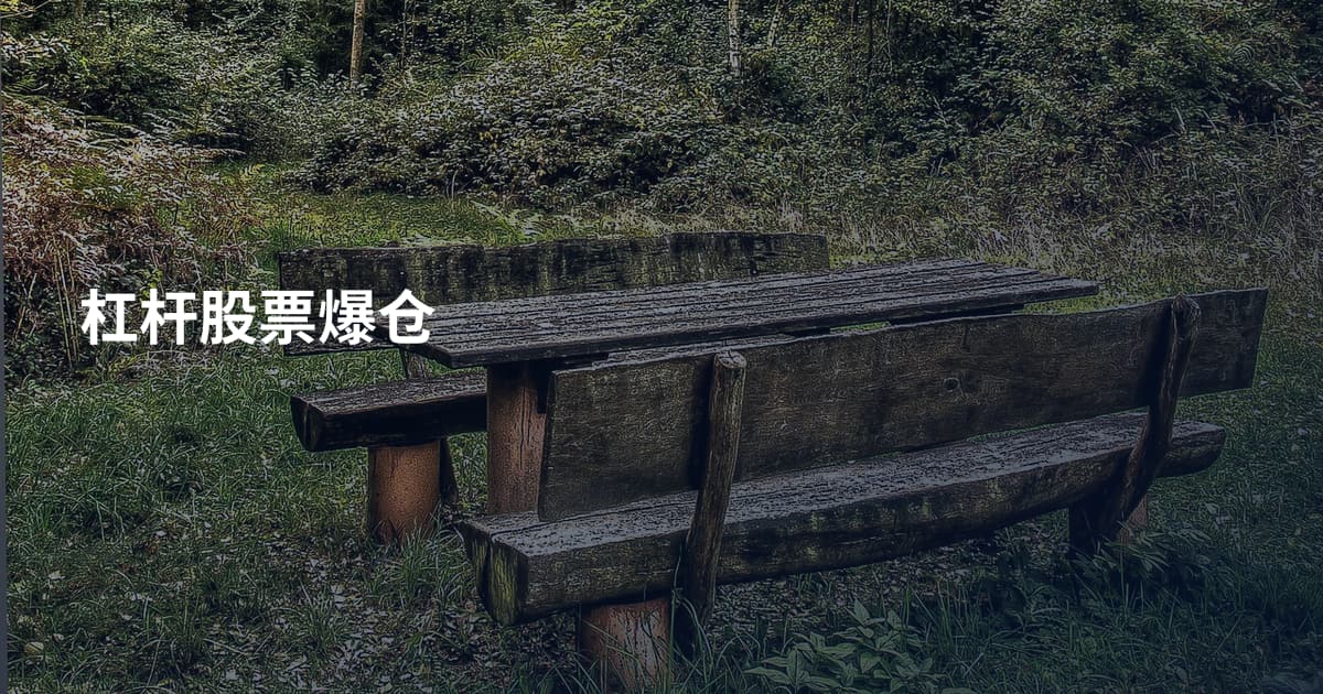 杠杆股票爆仓
