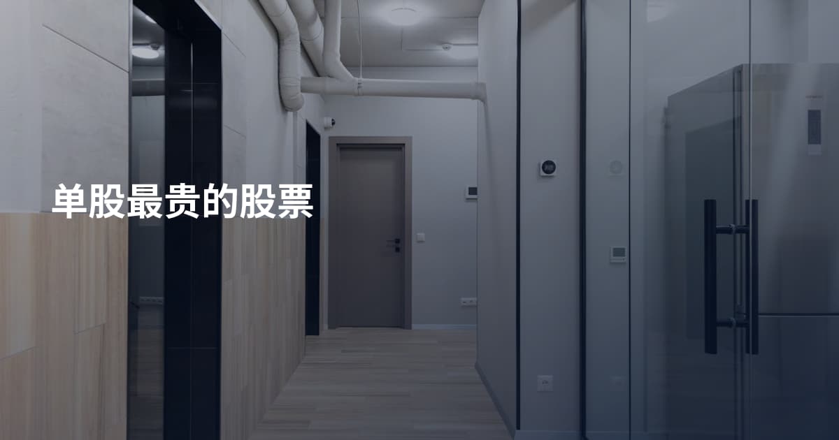 单股最贵的股票