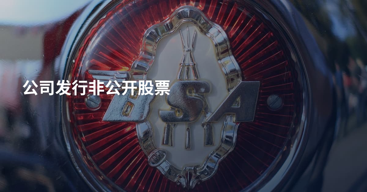 公司发行非公开股票