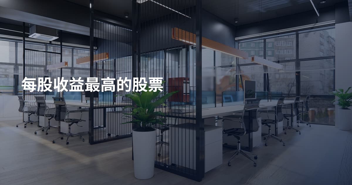 每股收益最高的股票
