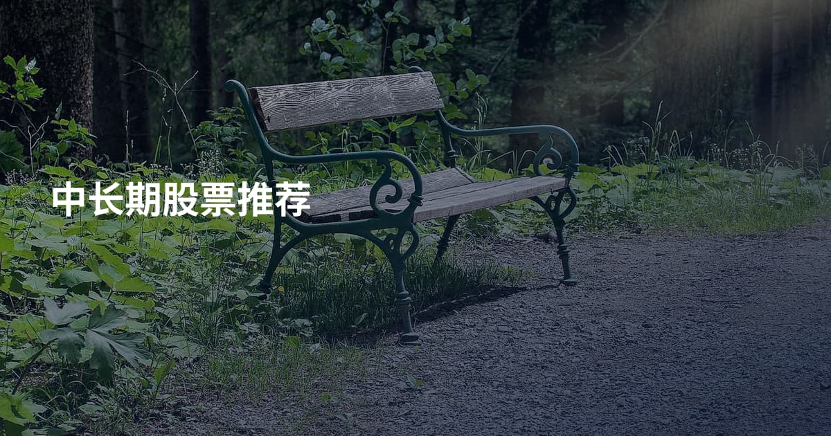 中长期股票推荐