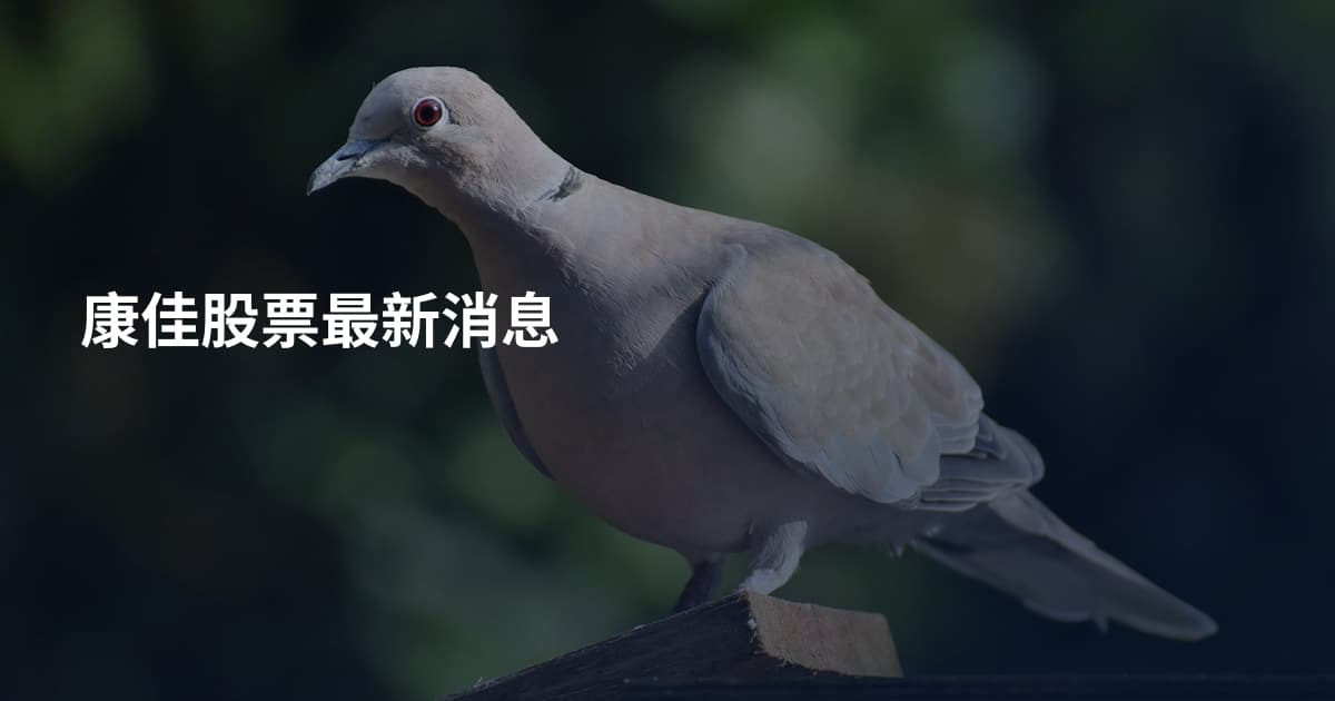 康佳股票最新消息