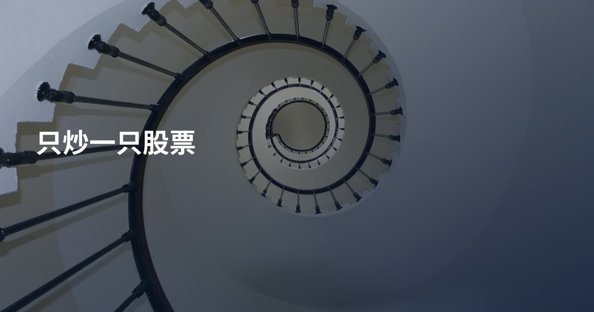 只炒一只股票