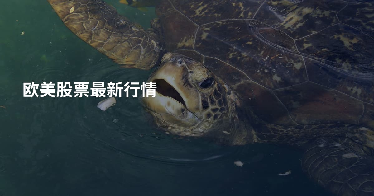 欧美股票最新行情