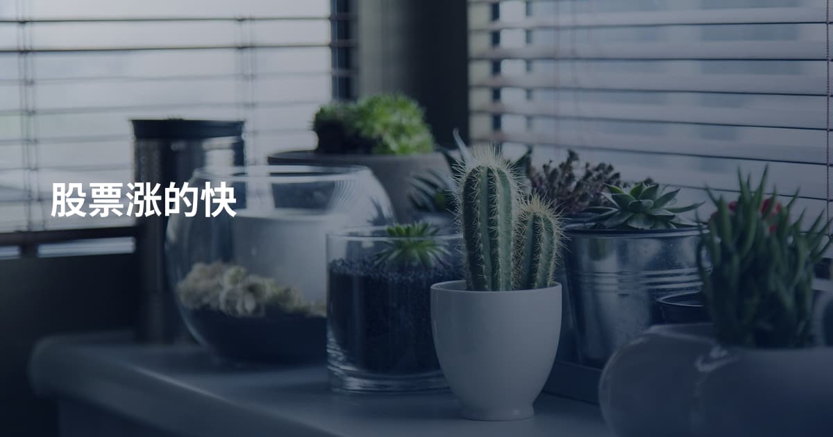 股票涨的快