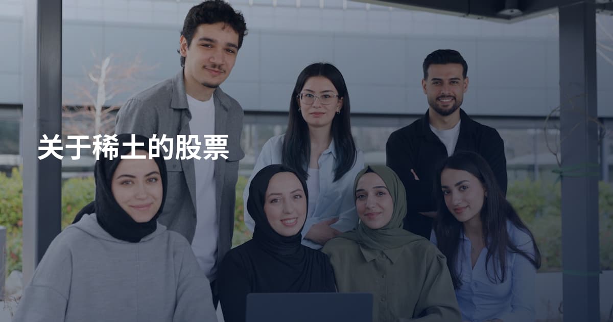 关于稀土的股票