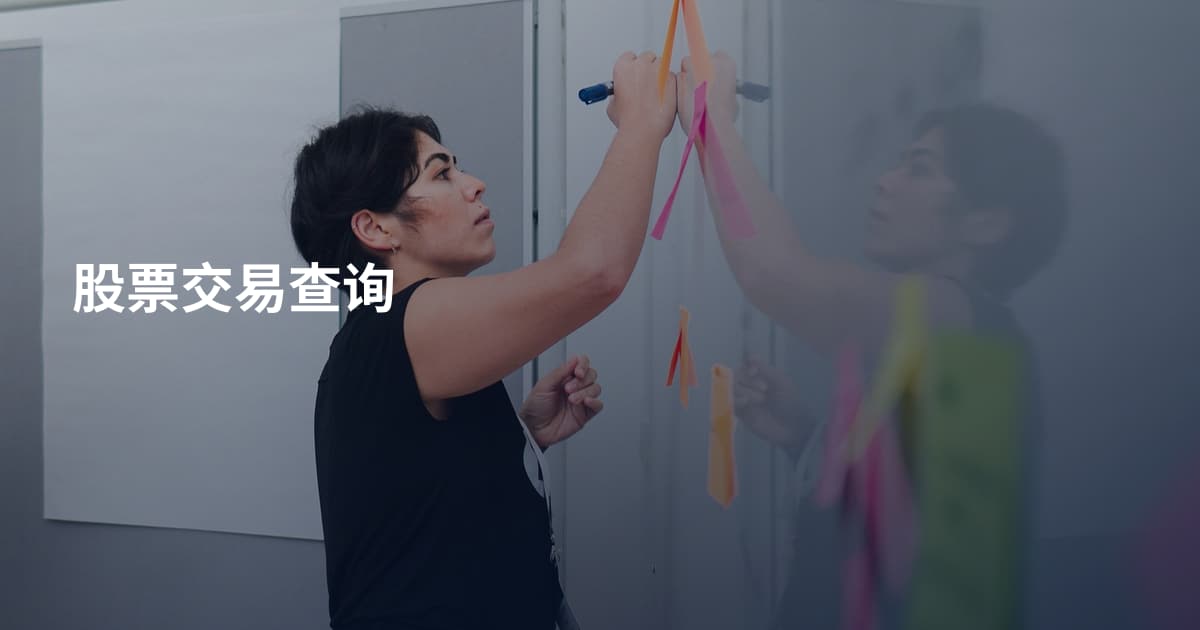 股票交易查询