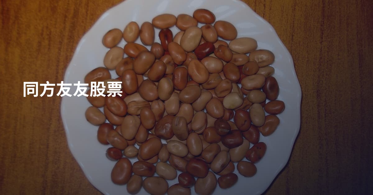 同方友友股票