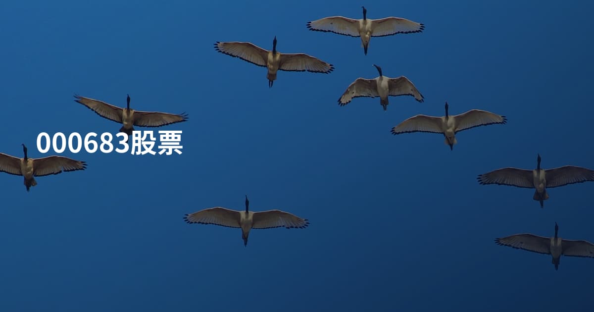 000683股票